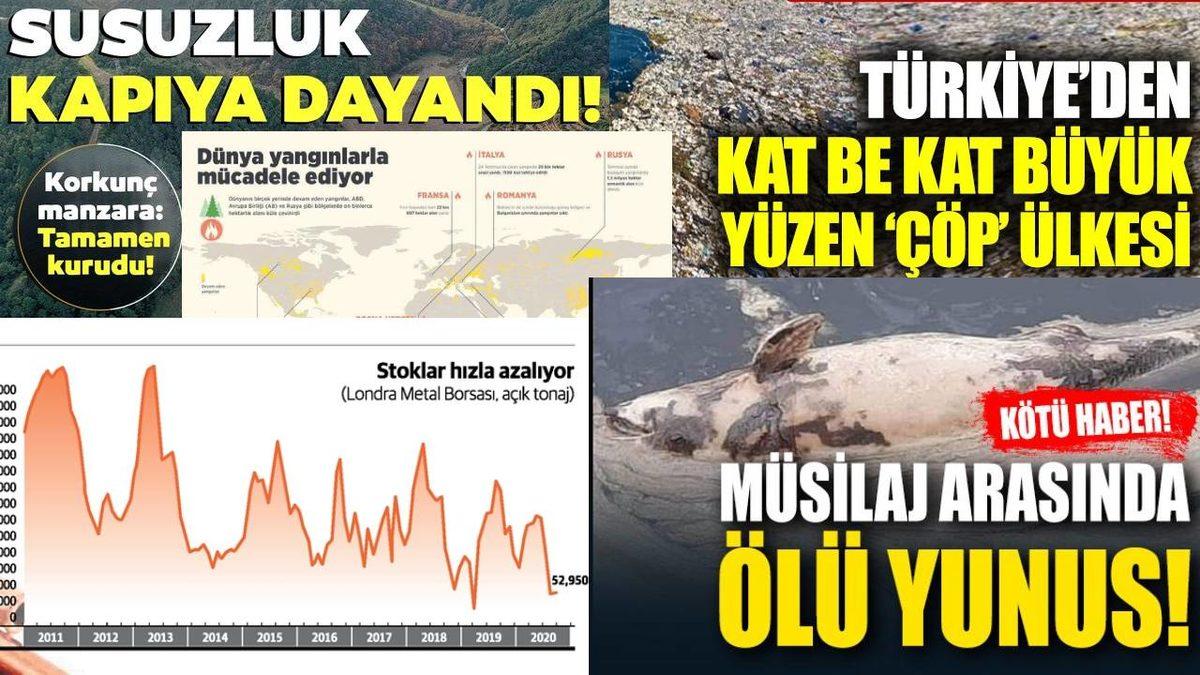 Hepimiz Birer Film Karakteriyiz: Distopik Bir Bilim Kurgu Filminin İçinde Yaşadığımızı Gösteren İşaretler