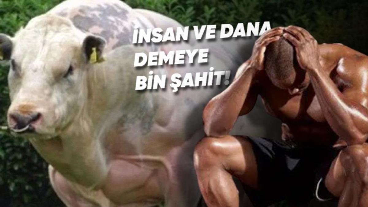 Kasların Neredeyse Patlayacakmış Gibi Görünmesini Sağlayan Ölümcül İlaç ’Steroid’ Aslında Nedir, Ne İşe Yarar?