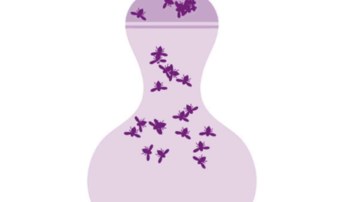 Antik Mısır’da Uygulanan Birbirinden İlginç Doğum Kontrol Yöntemleri