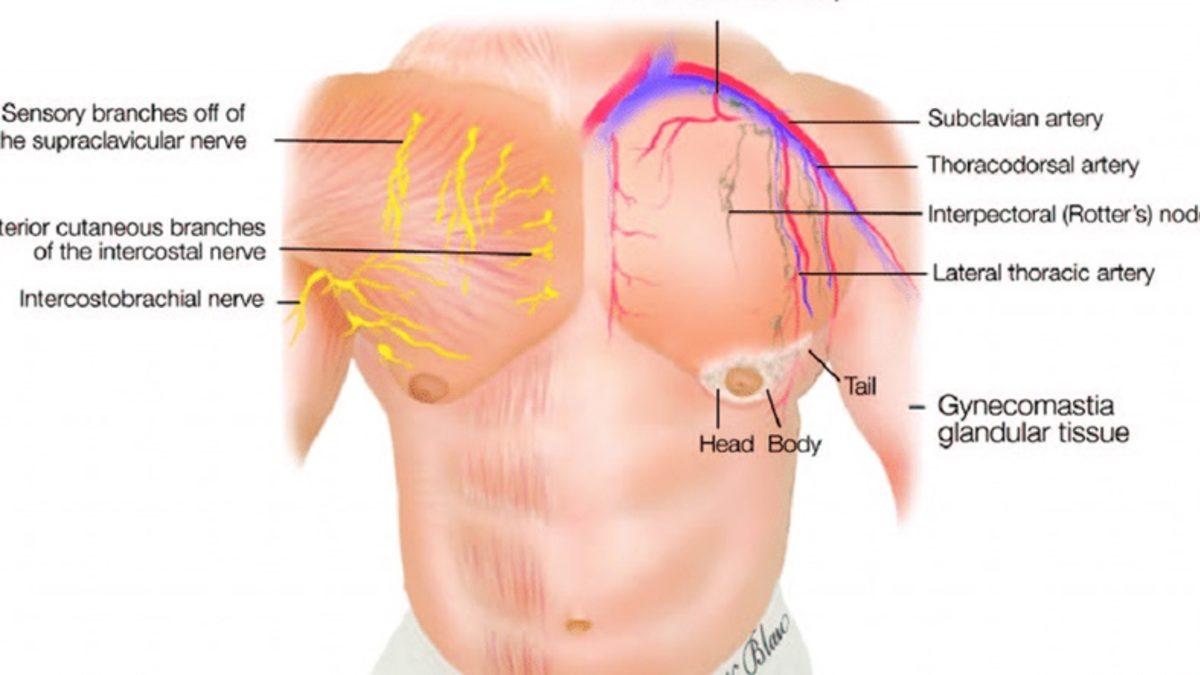 Erkekler de Aslında Biyolojik Olarak Tıpkı Kadınlar Gibi Süt Verip Emzirme Yetisine Sahip: Peki ama Nasıl?