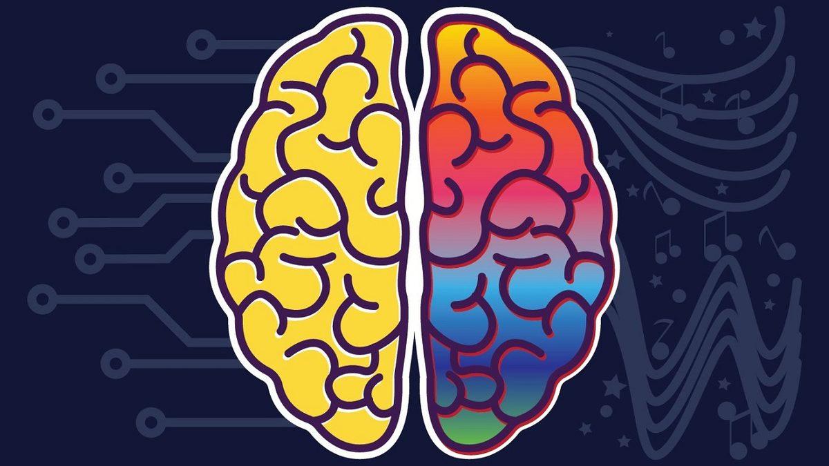 Daha Yaratıcı ya da Mantıklı Biri Olmanızın ’Beynin Sağ veya Sol Tarafıyla’ Neden Bir İlgisi Yok?