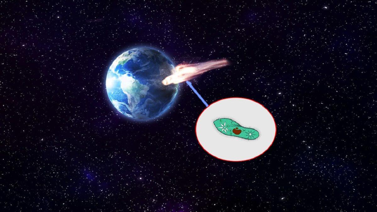 Yaşamın Dünya’da Oluşmadığını, Uzaydan Geldiğini Savunan Ürpertici Teori: Panspermia