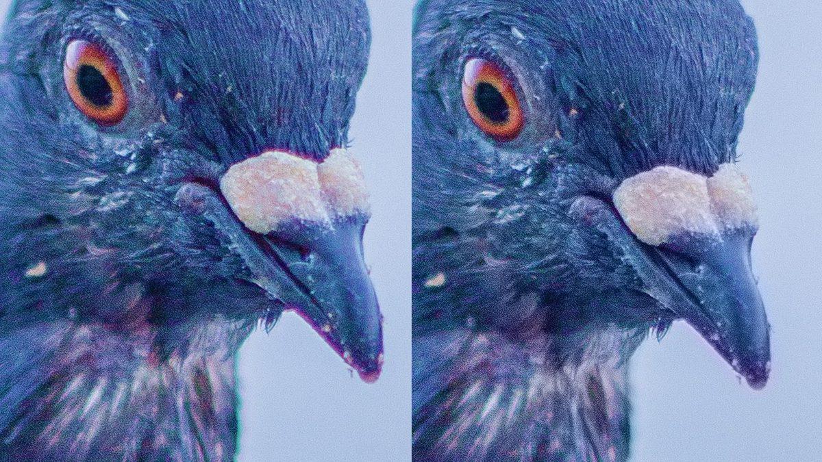 Fotoğrafçılığa Yeni Başlayanlar İçin A’dan Z’ye Fotoğrafçılık Terimleri