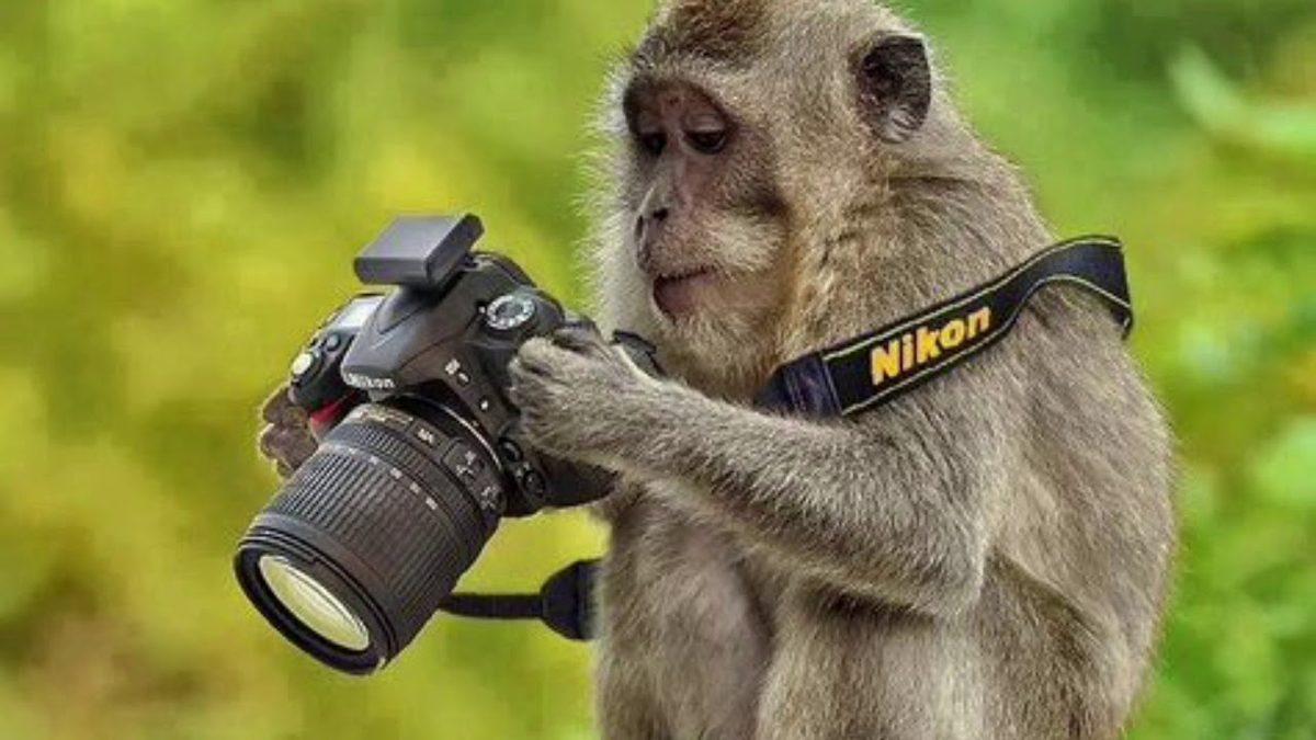 Fotoğrafçılığa Yeni Başlayanlar İçin A’dan Z’ye Fotoğrafçılık Terimleri