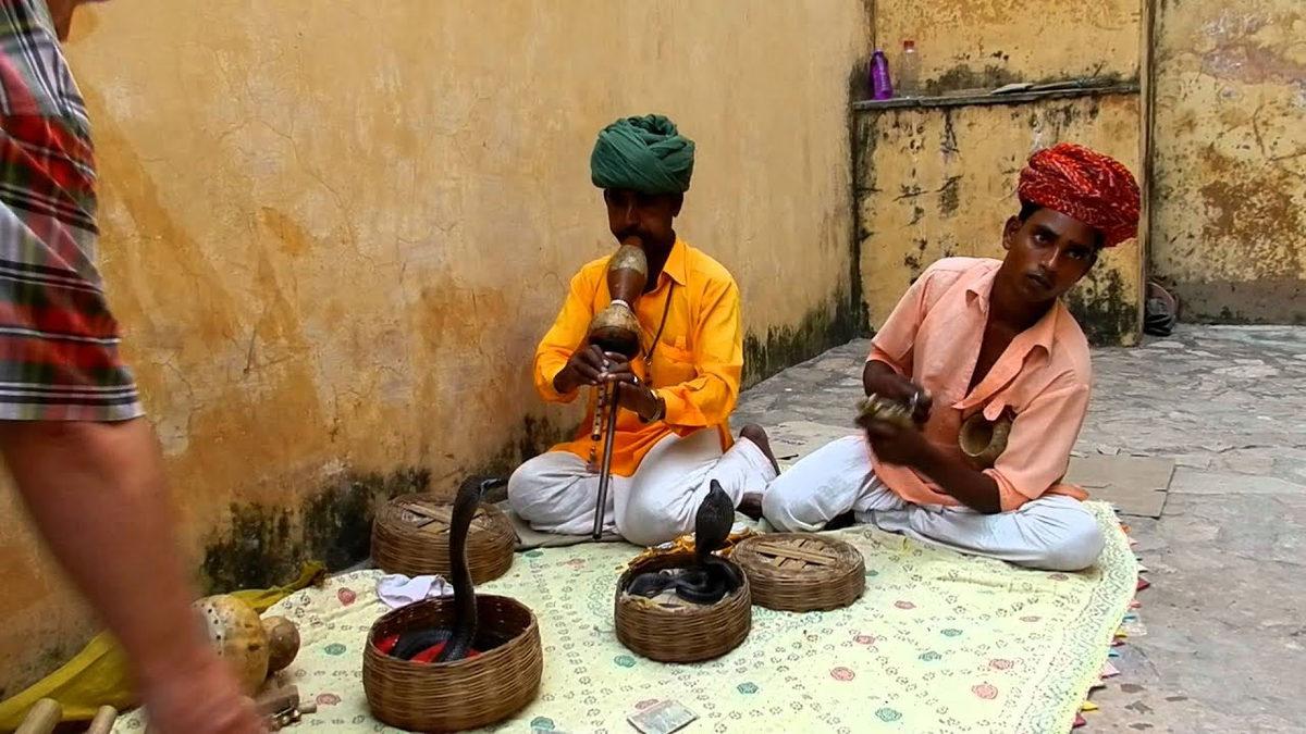 Kulağı Bile Olmayan Yılanların Müziği Duyunca Dans Etmelerinin Ardındaki Gerçek