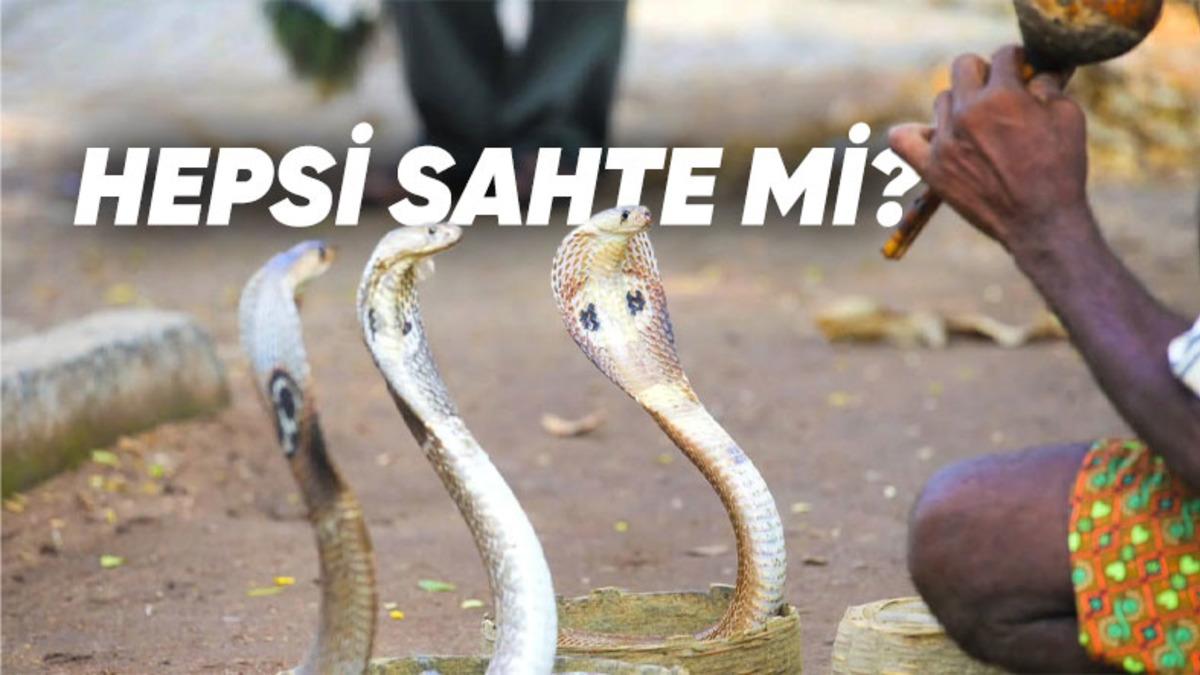 Kulağı Bile Olmayan Yılanların Müziği Duyunca Dans Etmelerinin Ardındaki Gerçek