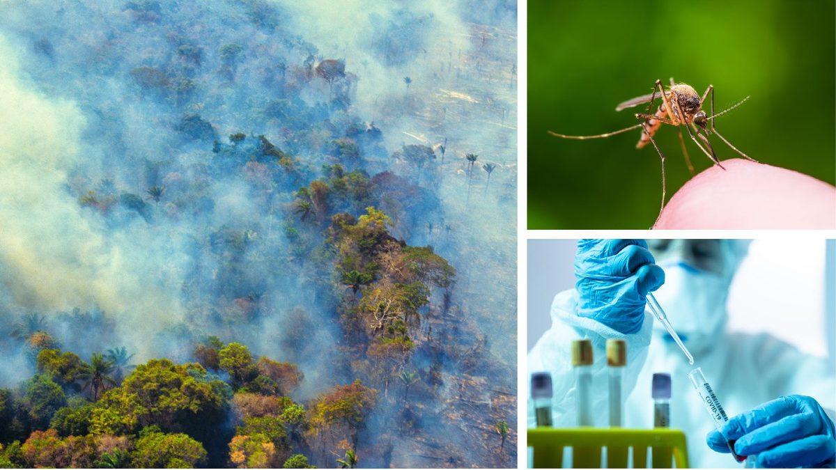 İklim Değişikliğinin Hastalıklar Üzerindeki Etkisi Ortaya Çıktı: Hepatit, Zatürre, Sıtma Gibi Hastalıkları Daha Ağır Geçirebiliriz