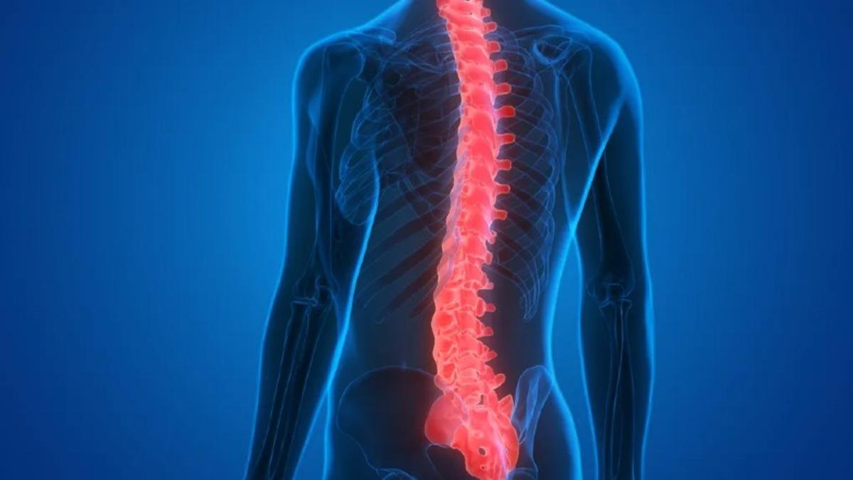 Dans Eden Moleküllerle ’Felci Bile Düzelten’ Omurilik Tedavisi Geliştirildi [Video]