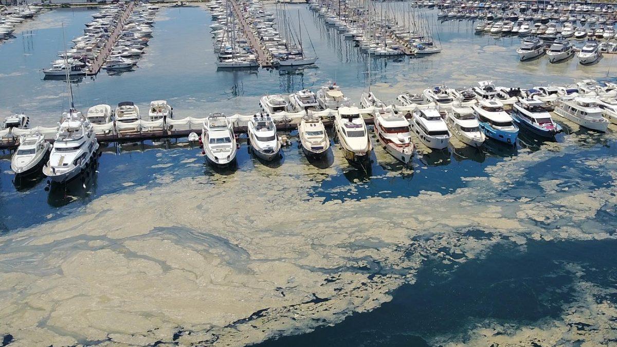 Türkiye’deki ’Deniz Salyası’ Sorunu ABD Basınının da Gündeminde: Marmara Ölüyor