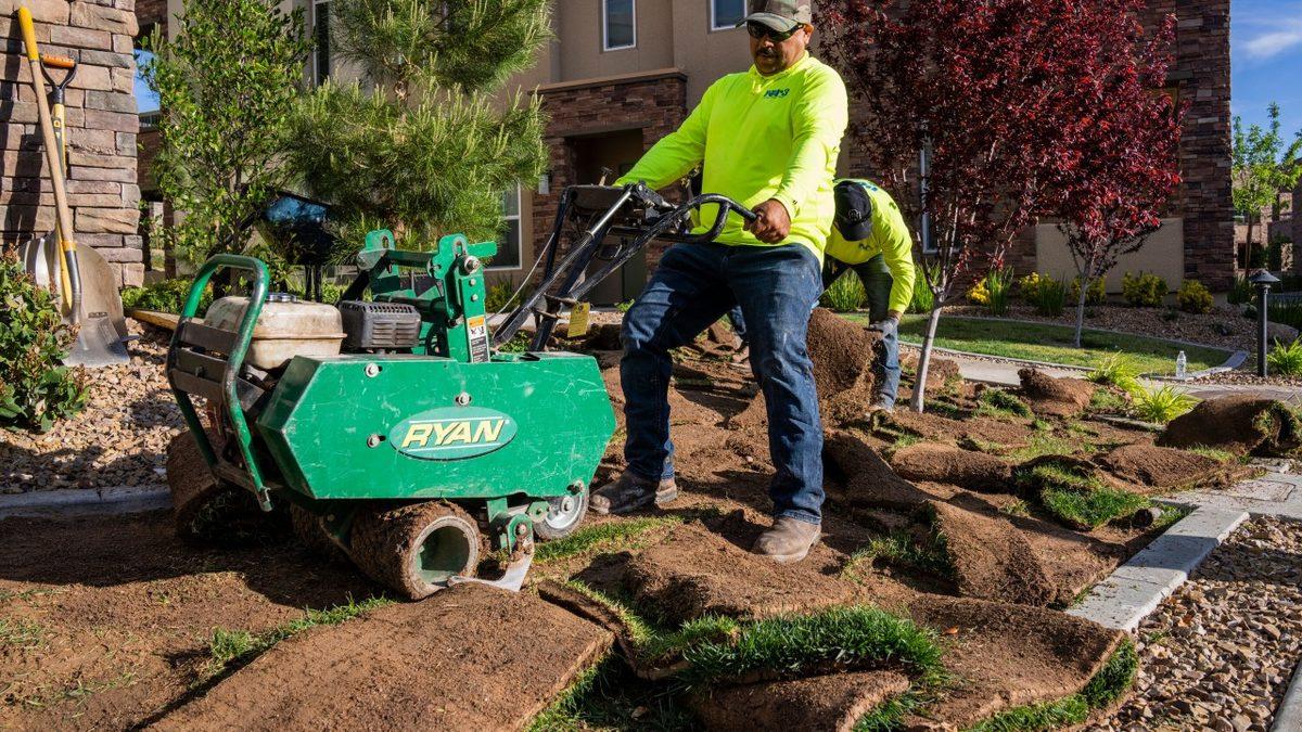 Küresel Isınmaya Karşı Başlatılan En İlginç Uygulama: Çim Ekme Yasağı!