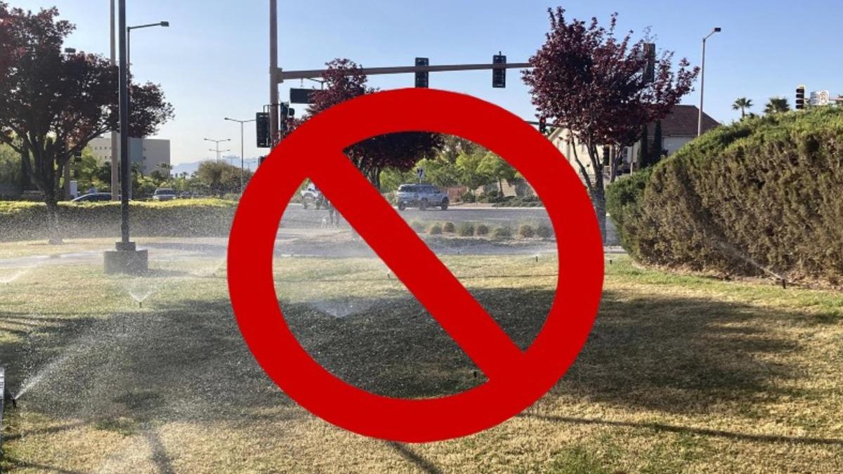 Küresel Isınmaya Karşı Başlatılan En İlginç Uygulama: Çim Ekme Yasağı!