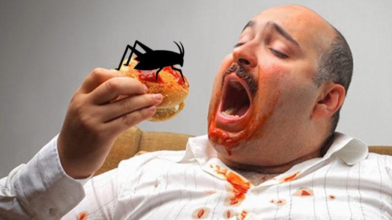 Böcekleri Tiksinmeden Yiyebilmeniz İçin Jelibon Gibi Şekilden Şekle Sokuldu: Peki Bu Şekilde Böcek Olduğunu Bile Bile Yer miydiniz?