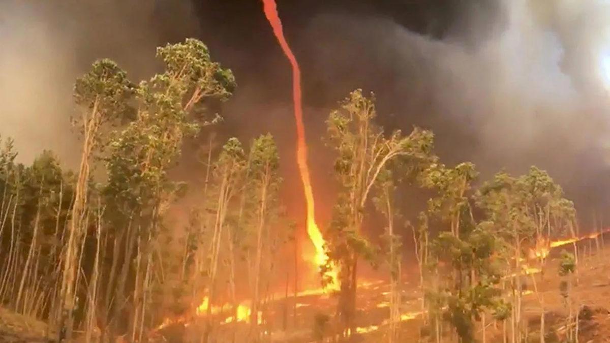 ABD’deki Orman Yangınlarında Alev Hortumu Oluştu: İşte Kıyamet Filmlerini Aratmayan Görüntüler [Video]