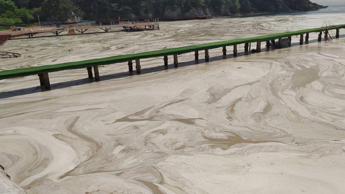 Denizcilik Fakültesi Profesöründen Deniz Salyası Açıklaması: Acil Eylem Planı Yapılmalı