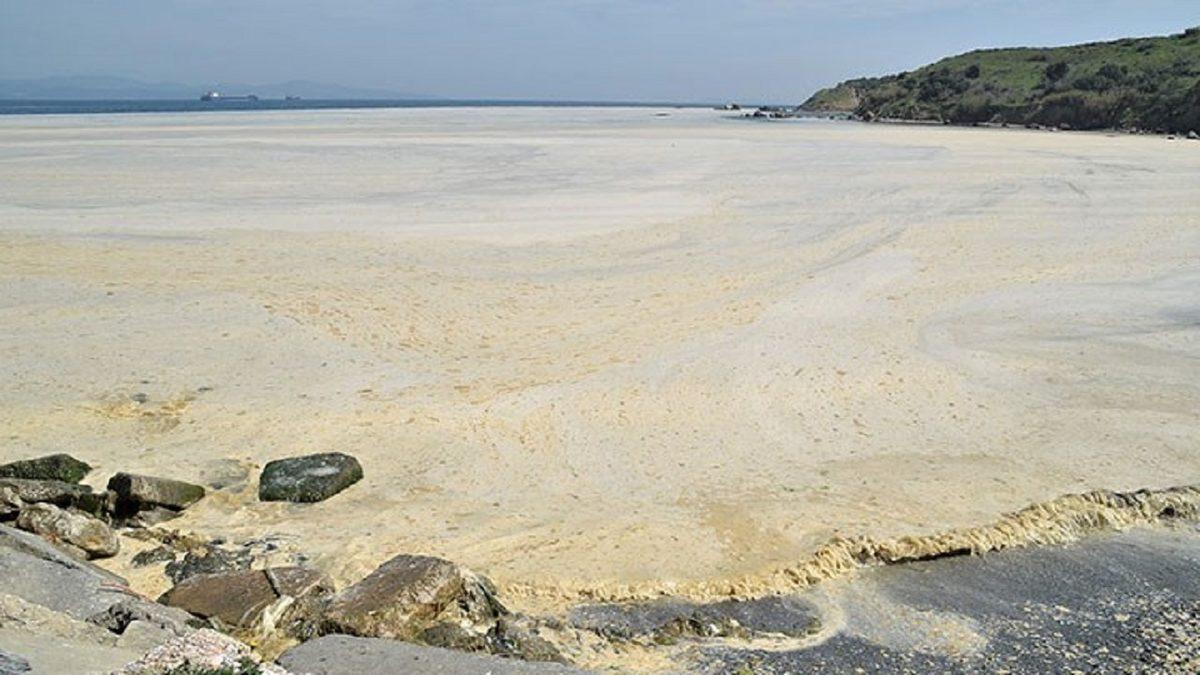 Marmara Denizi’nin Halini Bir Cesede Benzeten Türk Hidrobiyolog, Deniz Salyasının Sebeplerini Açıkladı