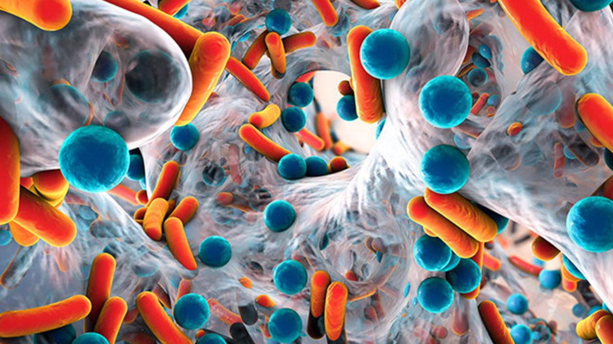 Bilim İnsanları, Mikropların ’Uzaylı’ Olabilme İhtimalini Araştırdı