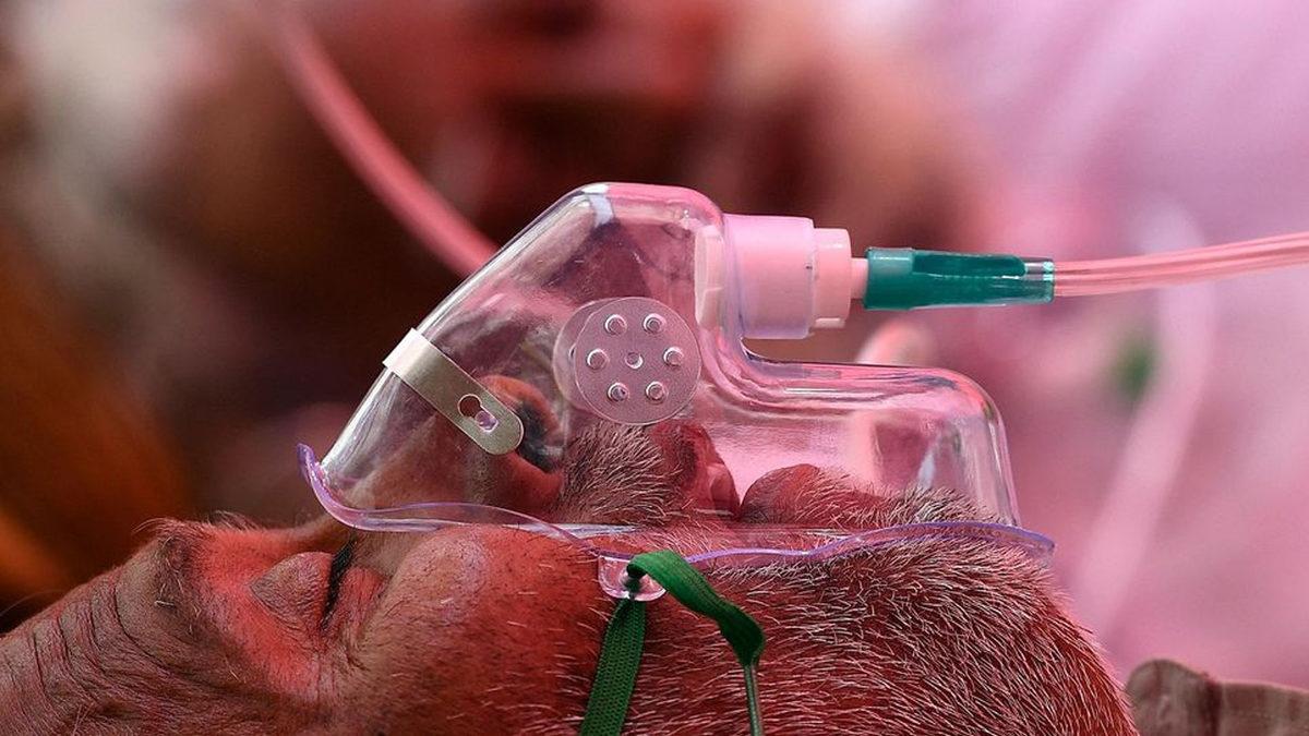 Doç. Dr. Savaşçı: Koronavirüs Tedavisi, Veremi Aktif Hale Getirebiliyor