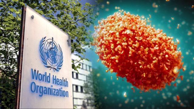 DSÖ, Maymun Çiçeği Virüsünün İsmini Değiştiriyor (Bundan Sonra Virüslere Ülke İsmi Verilmeyecek)