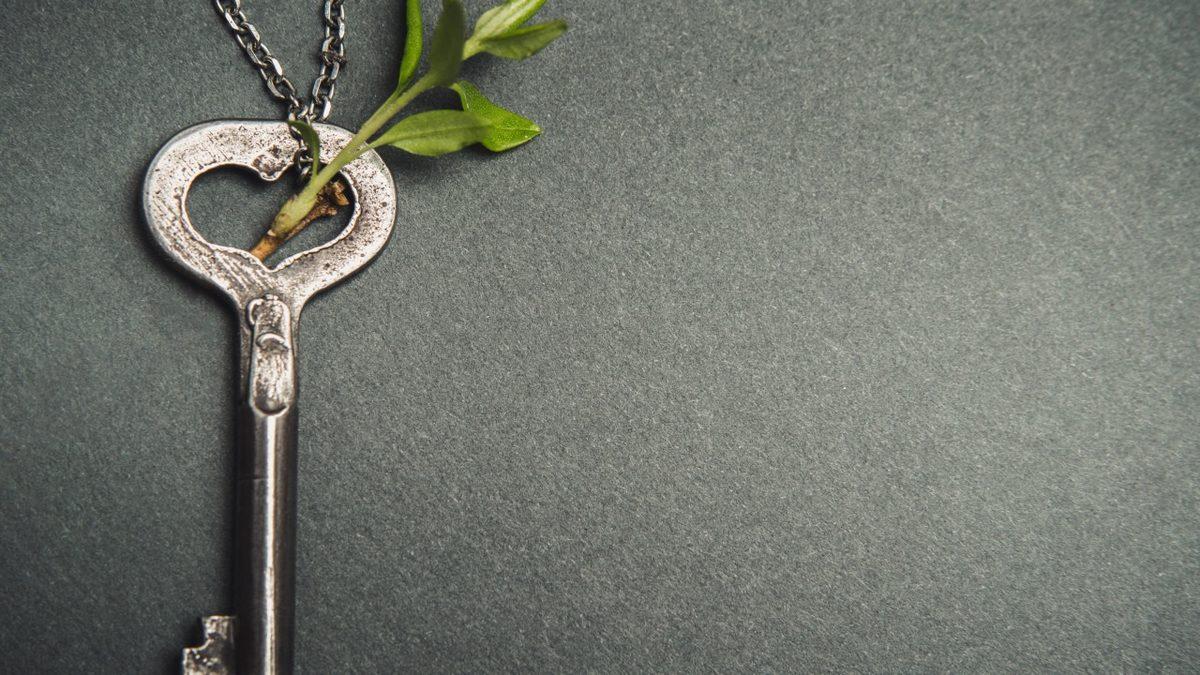 Komşudan Gelen Sözcükler: Zamanla Türkçeleşerek Dilimize Geçen Yunanca Kelimeler