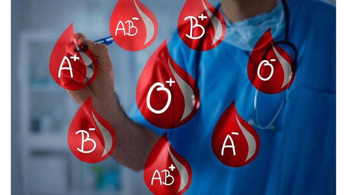 Kan Grubunuzu Biliyor musunuz? Nasıl Belli Olduğunu, Uyumsuz Bir Transferde Neler Olabileceğini Anlattık