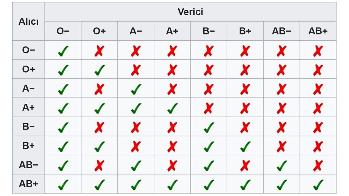 Kan Grubunuzu Biliyor musunuz? Nasıl Belli Olduğunu, Uyumsuz Bir Transferde Neler Olabileceğini Anlattık