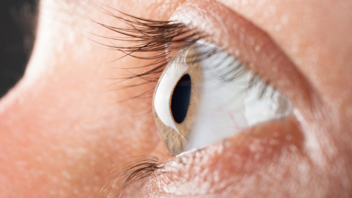 Domuz Derisinden Yapılan İmplantlarla Görme Engelli Bireylerin Yeniden Görmesi Sağlandı: Kornea Nakli Kadar Etkili!