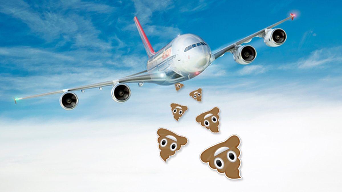 Uçak Tuvaletlerindeki Dışkılar Gökyüzünden Aşağıya mı Bırakılıyor?