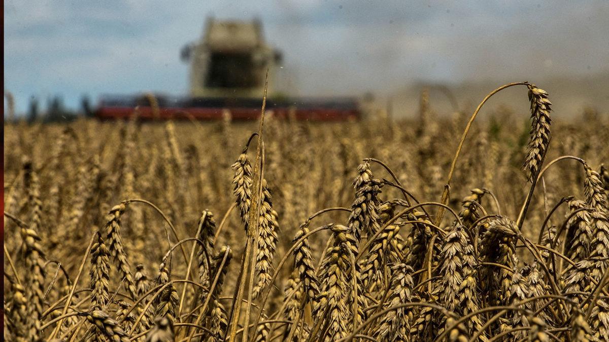 Olası Bir ‘Nükleer Savaş’ Hakkında Korkunç Araştırma: 5 Milyar İnsan Aç Kalacak