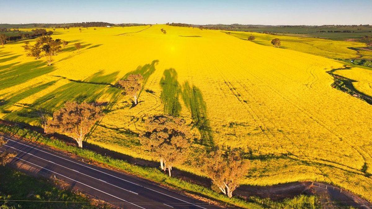 Olası Bir ‘Nükleer Savaş’ Hakkında Korkunç Araştırma: 5 Milyar İnsan Aç Kalacak