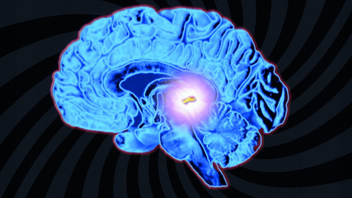 Beyninizde ‘Ruhun Tahtı’ Olarak Anılan Bir Yer Var: Epifiz Bezi Nedir, Nasıl Çalışıyor?