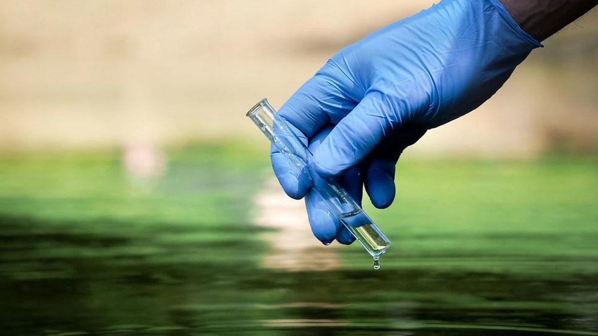 Marmara’daki Deniz Salyasının Neden Olacağı İddia Edilen ’Kolera Salgını’ Nedir, Belirtileri Neler?