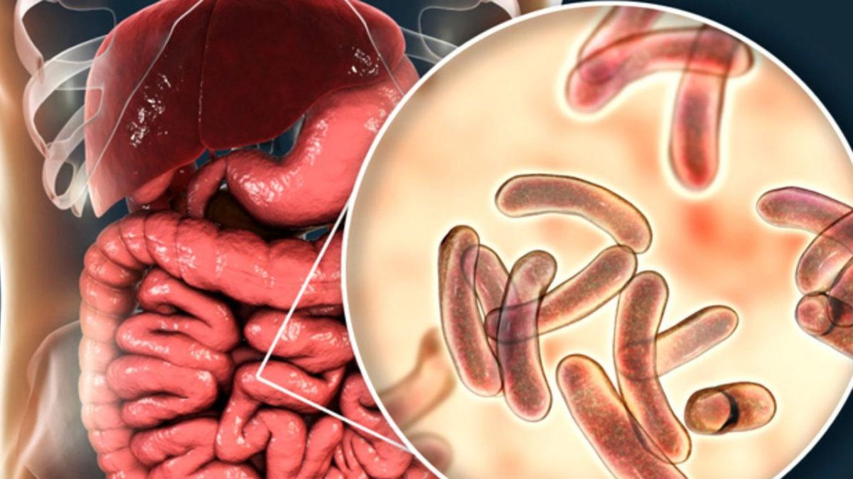 Marmara’daki Deniz Salyasının Neden Olacağı İddia Edilen ’Kolera Salgını’ Nedir, Belirtileri Neler?