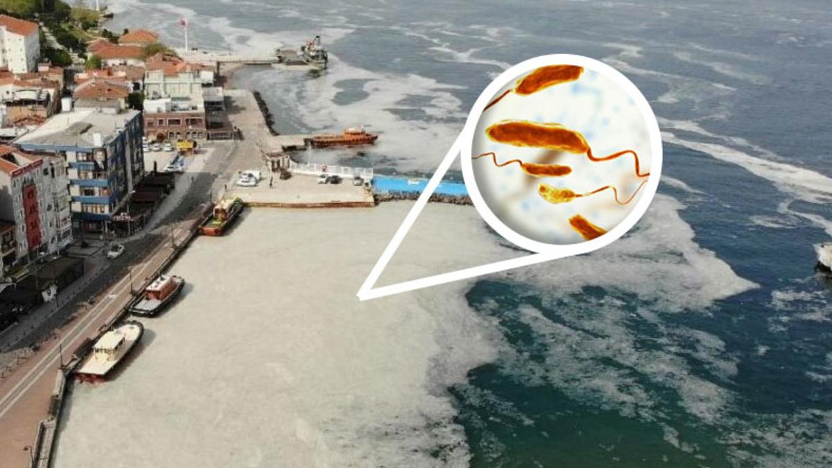 Marmara’daki Deniz Salyasının Neden Olacağı İddia Edilen ’Kolera Salgını’ Nedir, Belirtileri Neler?