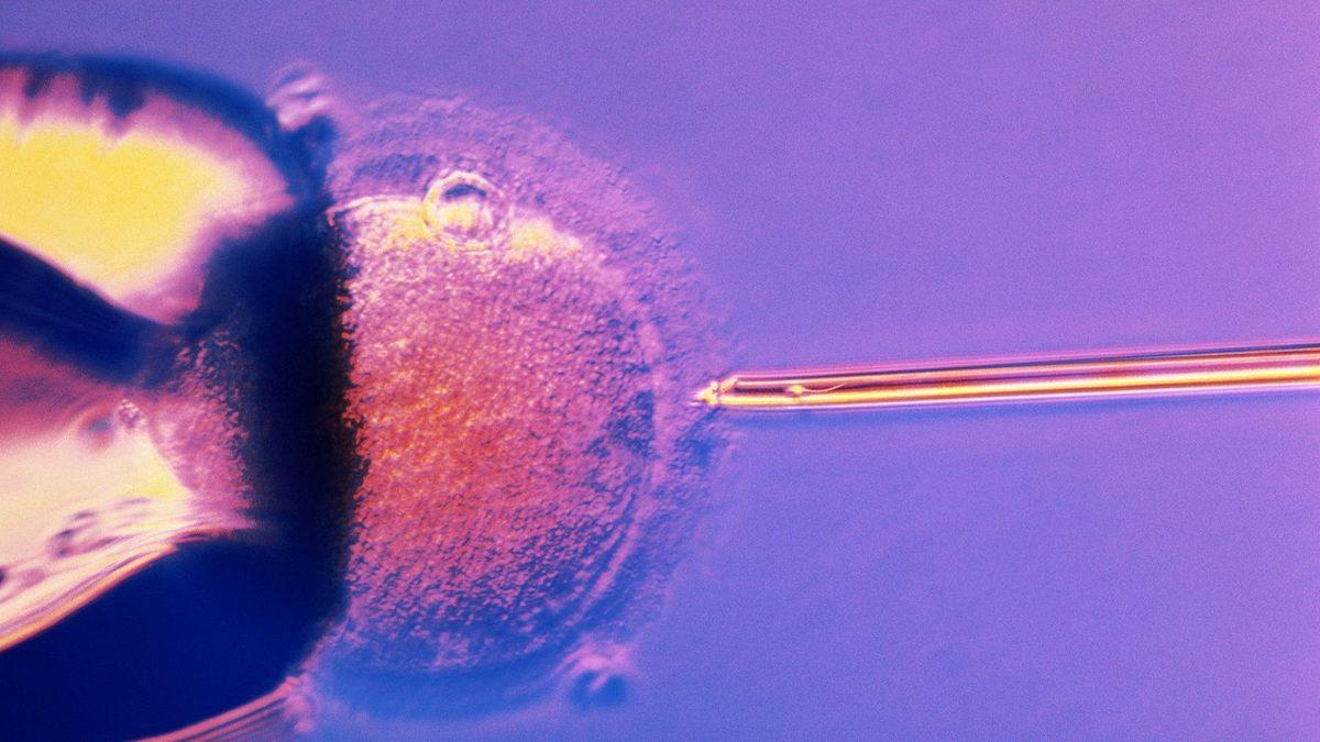 Koyun ve Maymun Klonlamak Mümkünken Neden Hâlâ İnsan Klonlamıyoruz?