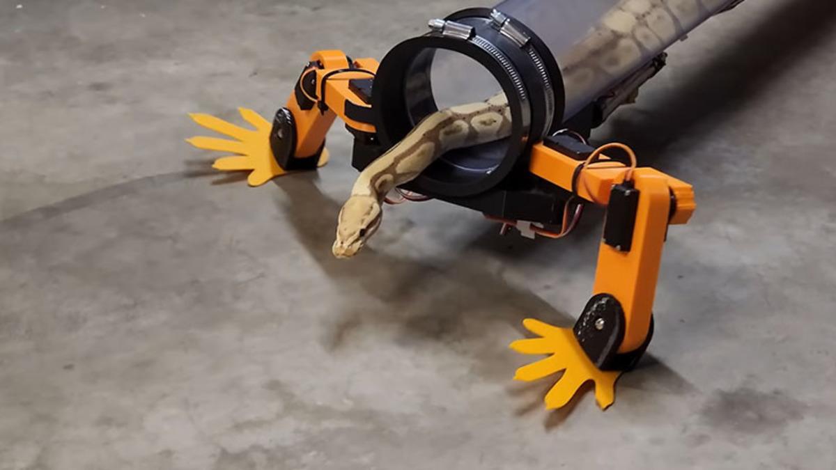 Siz Hiç Yürüyen Yılan Gördünüz mü? Bir YouTuber, 150 Milyon Yıldır Sürünen Yılanlara ’Ayak’ Yaptı [Video]