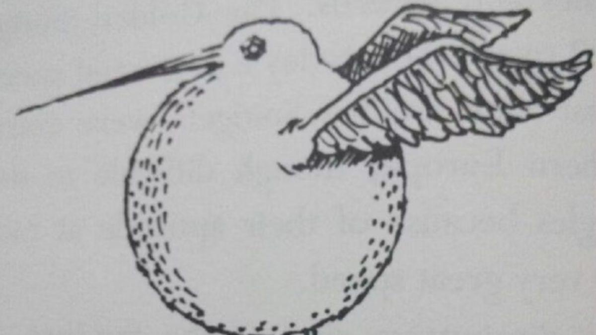 Harry Potter Evrenindeki Quidditch Maçlarından Hatırladığımız ’Altın Snitch’ Hakkında Birbirinden İlginç Bilgiler