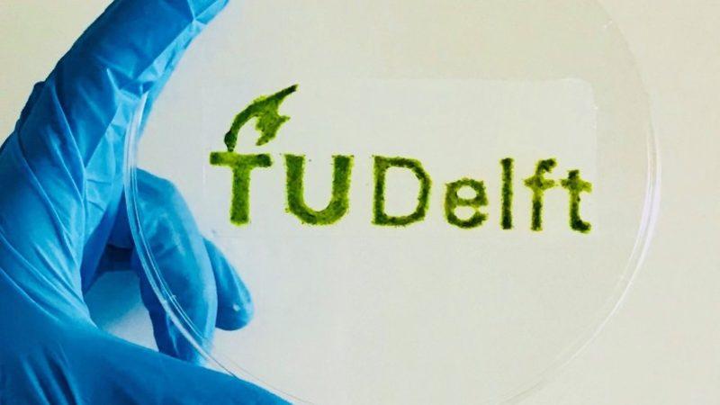 3 Boyutlu Yazıcı Kullanılarak ’Yaşayan’ Bir Nesne Basıldı