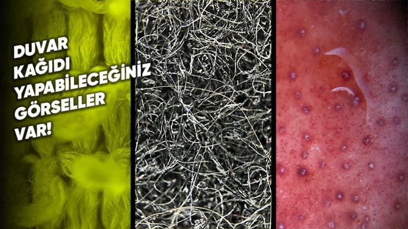 Her Gün Gördüğümüz Nesnelere Mikroskobik Kamerayla Baktık: Çoğunu Tanımakta Zorlanacaksınız!
