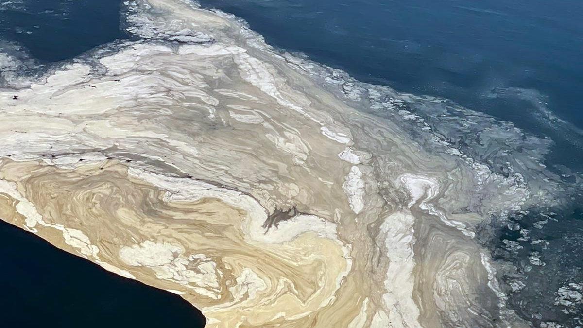 Marmara Denizi’ndeki Müsilaj Sorunu İçin TBMM’de 12 Maddelik Çözüm Önerisi Sunuldu