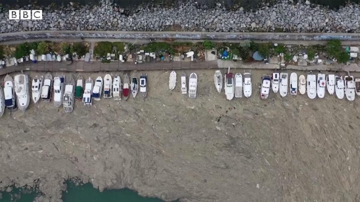 BBC, Müsilajın Ele Geçirdiği Marmara Denizi’nin Dibini Görüntüledi: İzleyecekleriniz Endişe Verici [Video]