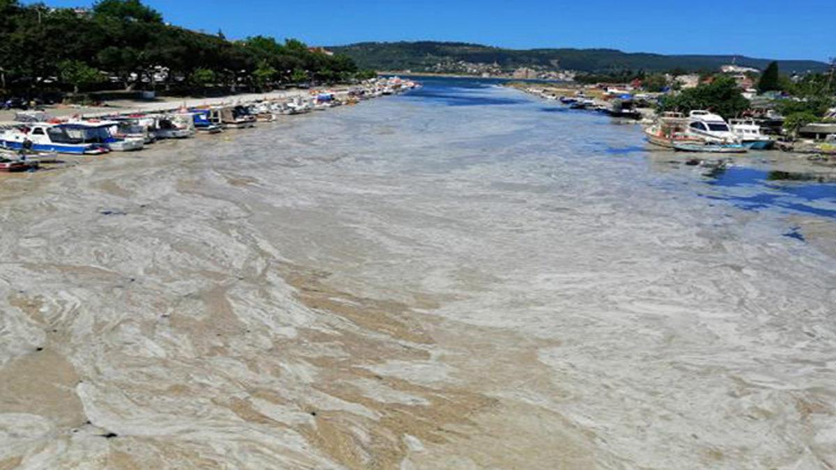 BBC, Müsilajın Ele Geçirdiği Marmara Denizi’nin Dibini Görüntüledi: İzleyecekleriniz Endişe Verici [Video]