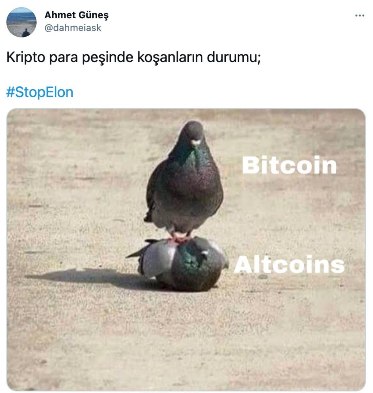 Elon Musk’ın Bitcoin’i Yerle Bir Etmesi Sonrası ’StopElon’ Etiketi Trendlere Girdi: İşte En Komik Paylaşımlar