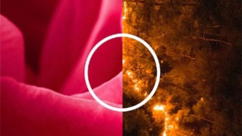 Mercedes’in Doğa Görüntülerine Kendi Logosunu Koyduğu Reklam Kampanyası Parodi Konusu Oldu