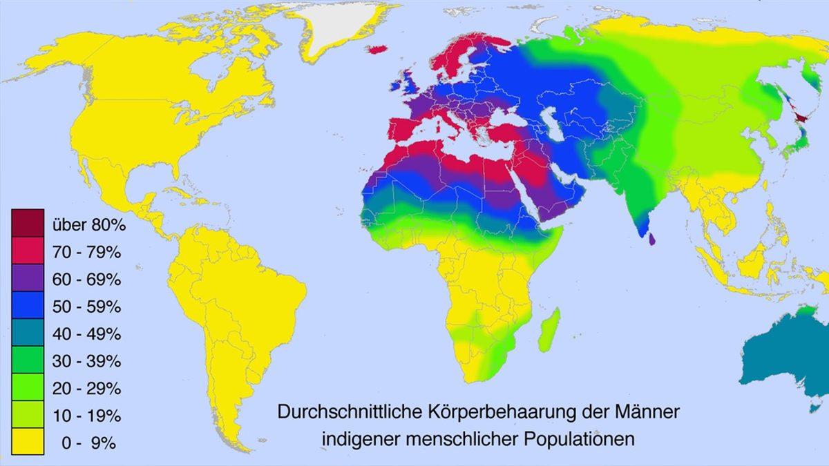 Akdeniz ve Çevresindeki Erkeklerde Göğüs Kılı Neden Daha Fazladır?