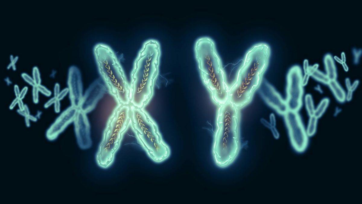 Açken Biz, Gerçekten Biz Değilmişiz! Tıpta Geçtiğimiz Bir Ayda Yaşanan Önemli Gelişmeleri Derledik