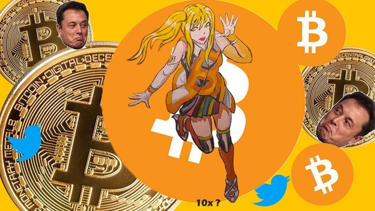 Animeci Musk Geri Döndü: Profil Fotoğrafını Değiştirdi, Bitcoin Yeniden Yükseldi