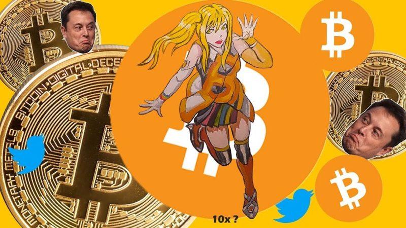 Animeci Musk Geri Döndü: Profil Fotoğrafını Değiştirdi, Bitcoin Yeniden Yükseldi