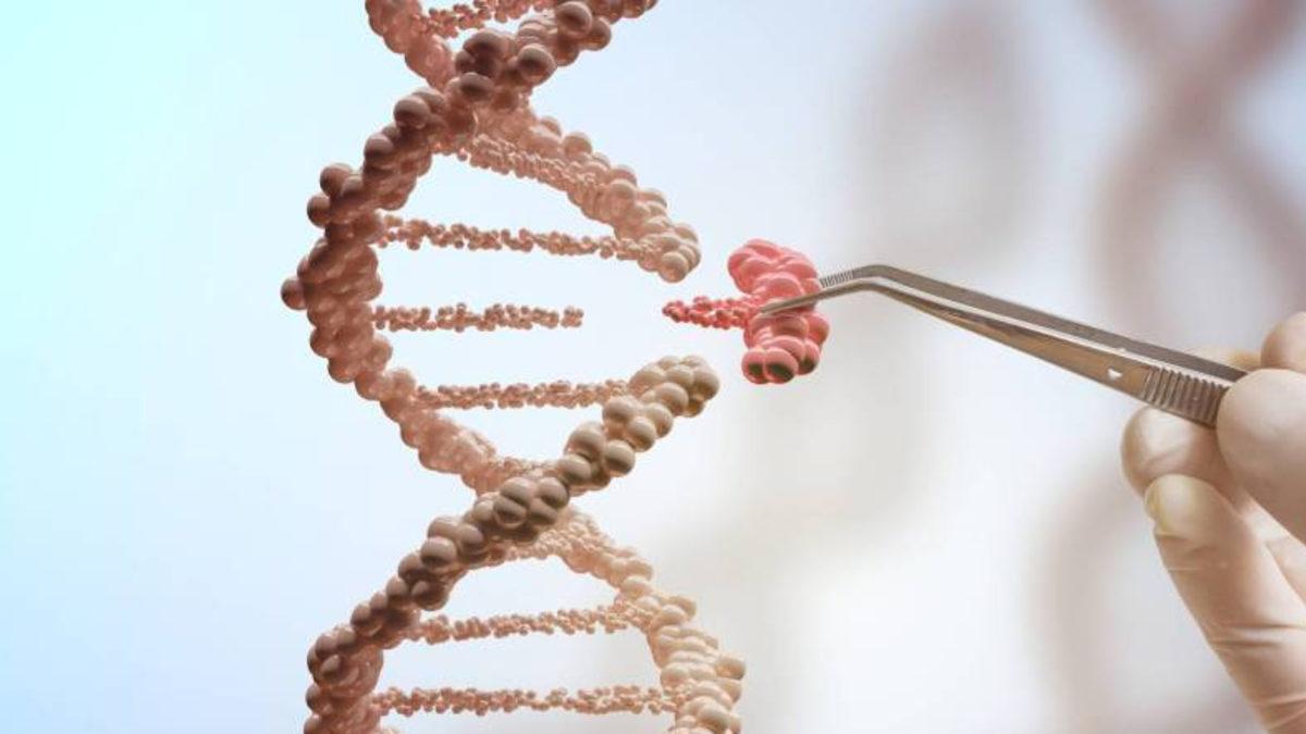 Gizemli Bir Proteinin İnsan DNA’sını Farklı Şekillere Sokabildiği Keşfedildi