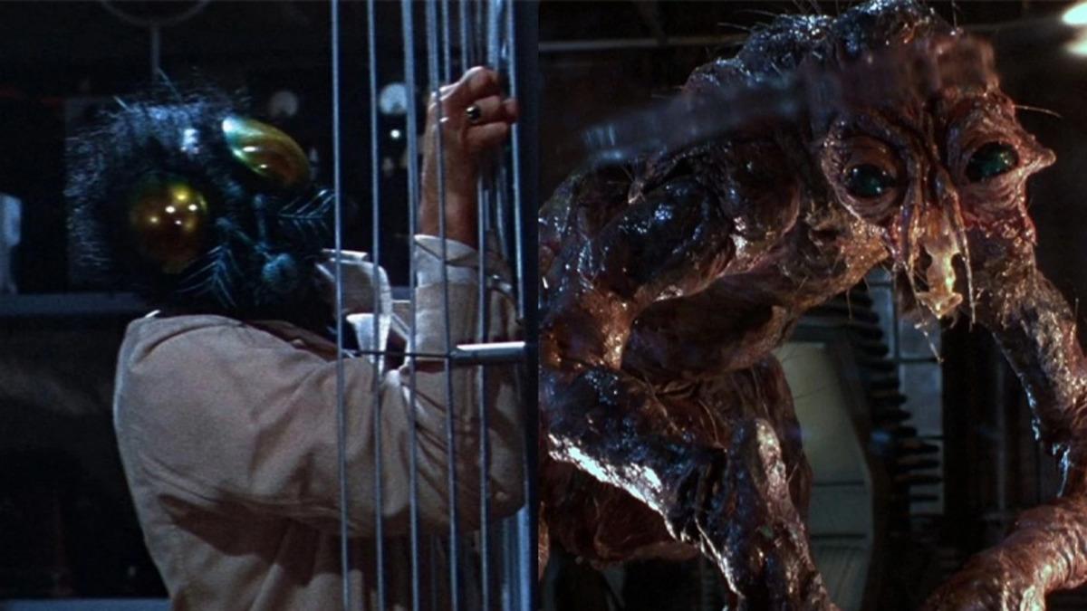 Gizemli Bir Proteinin İnsan DNA’sını Farklı Şekillere Sokabildiği Keşfedildi