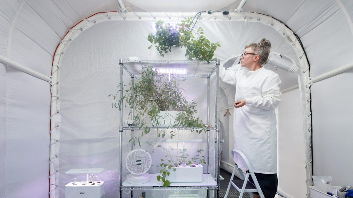 Mars’ta İçinde Yaşayacağımız Evler Böyle Gözükebilir! (Dünya’da Olsa Yüzüne Bakmazsınız)